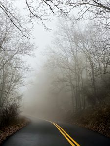 Straße mit kargen Bäumen im Nebel